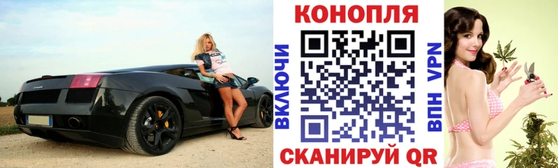 сколько стоит  darknet как зайти  Конопля Amnesia  Волосово  OMG  